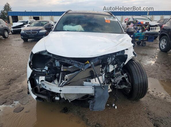 ZASPAKBN4R7D74560 2024 ALFA ROMEO STELVIO White Widok z przodu