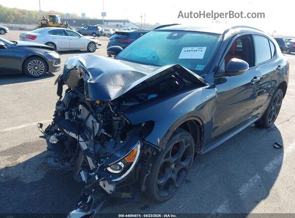 ZASPAKBN8P7D53644 2023 ALFA ROMEO STELVIO Black Vista tres cuartos delantera izquierda