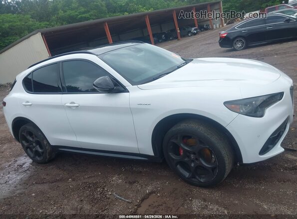 ZASPAKBN8R7D70575 2024 ALFA ROMEO STELVIO White Vista interior trasera