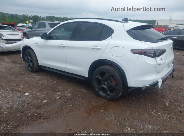 ZASPAKBN8R7D70575 2024 ALFA ROMEO STELVIO White Trasero izquierdo