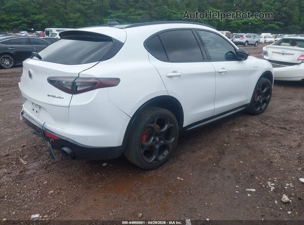 ZASPAKBN8R7D70575 2024 ALFA ROMEO STELVIO White Trasero derecho