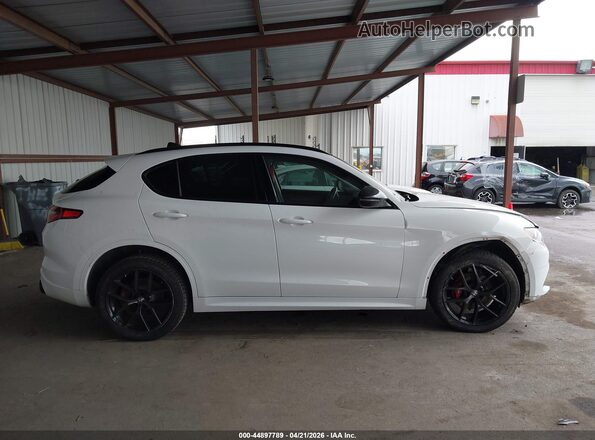 ZASPAKBN9L7C87129 2020 ALFA ROMEO STELVIO White Vista interior trasera