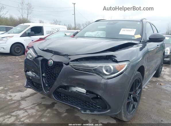 ZASPAKBNXM7D15070 2021 ALFA ROMEO STELVIO Gray წინა ხედი