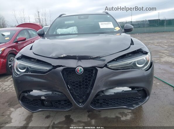 ZASPAKBNXM7D15070 2021 ALFA ROMEO STELVIO Gray წინა პანელის ხედი