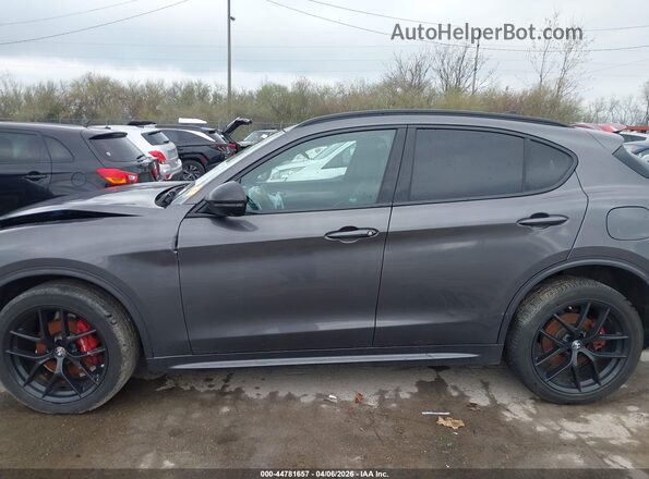 ZASPAKBNXM7D15070 2021 ALFA ROMEO STELVIO Gray უკანა სალონის ხედი