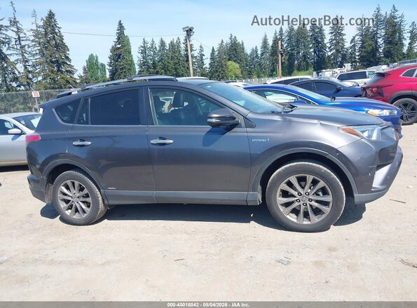 JTMDJREV6HD141103 2017 TOYOTA LIMITED Gray Սալոնի հետևի տեսք