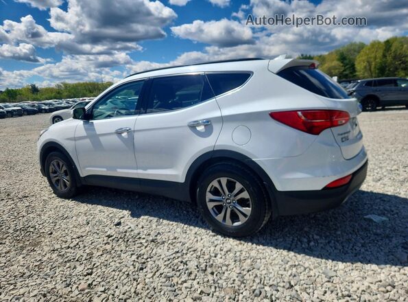 5XYZUDLB7GG343263 2016 HYUNDAI SANTA White Rear right