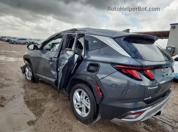5NMJA3DE1SH550187 2025 HYUNDAI TUCSON Серый 