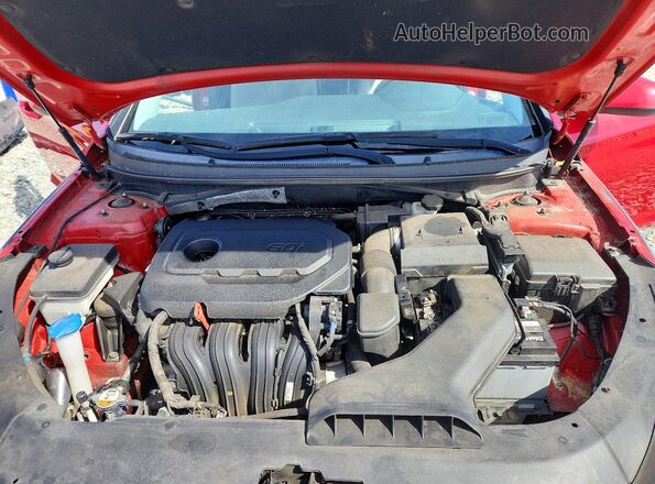 5NPE24AF6KH804951 2019 HYUNDAI SONATA Red 