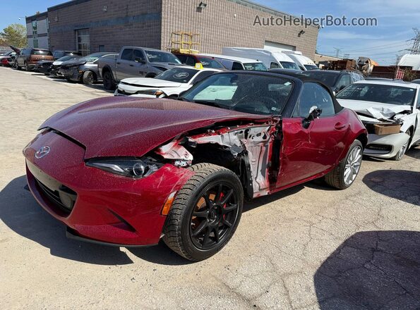 JM1NDAC79R0607083 2024 MAZDA MX-5 Maroon 