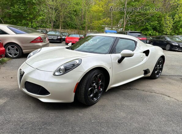 ZARBAAA41GM177436 2016 ALFA ROMEO 4C White Rear right