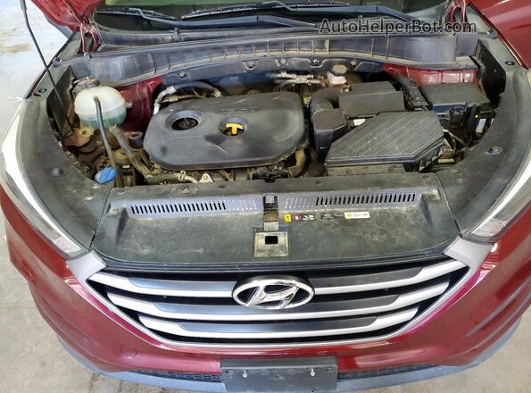 KM8J3CA49HU504495 2017 HYUNDAI TUCSON Red 