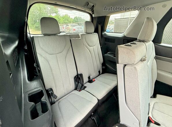 KM8R14HE6LU037087 2020 HYUNDAI PALISADE White 