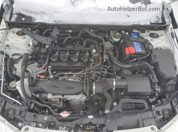 2HGFE1F91RH003104 2024 HONDA CIVIC White 