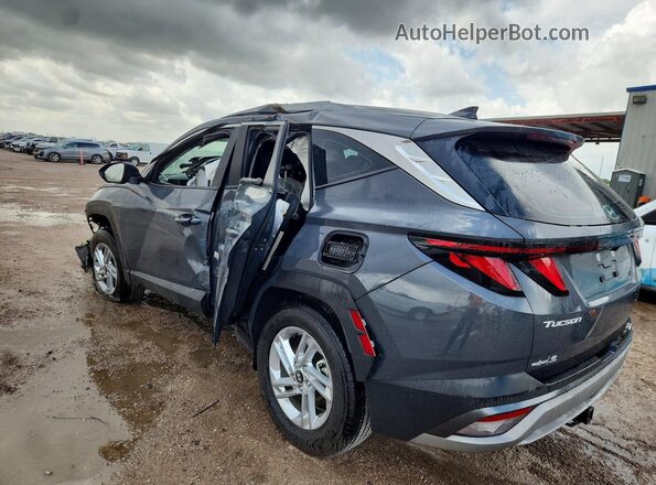 5NMJA3DE1SH550187 2025 HYUNDAI TUCSON Серый 