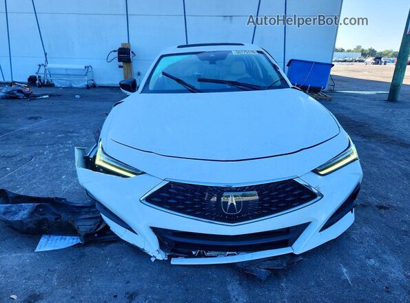 19UUB5F48PA005293 2023 ACURA TLX Белый Вид спереди