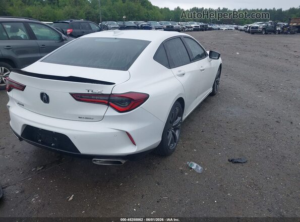19UUB6F51MA002066 2021 ACURA TLX Black Հետևի աջ