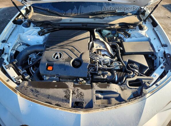 19UUB7F04PA001007 2023 ACURA TLX White Widok wnętrza z tyłu