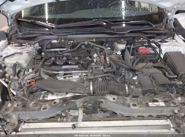 19XFC1F32KE208187 2019 HONDA CIVIC White Հետևի տեսք