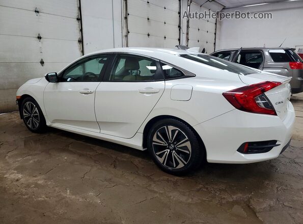 19XFC1F34HE017735 2017 HONDA CIVIC White Հետևի ձախ