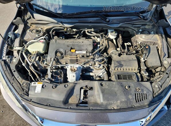 19XFC2F55JE042060 2018 HONDA CIVIC Gray Սալոնի հետևի տեսք