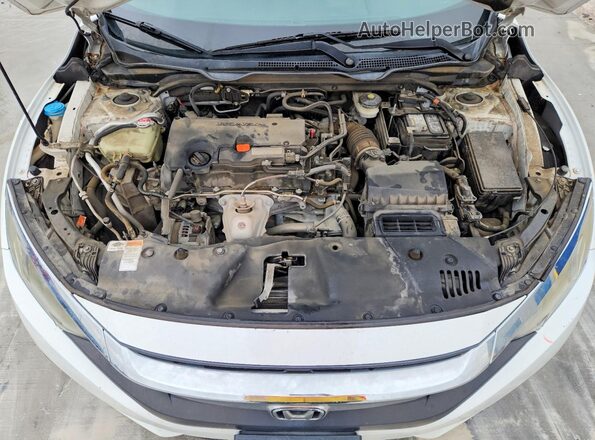19XFC2F59GE041258 2016 HONDA CIVIC White Սալոնի հետևի տեսք
