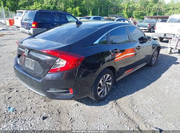 19XFC2F84HE047268 2017 HONDA CIVIC Black Հետևի աջ
