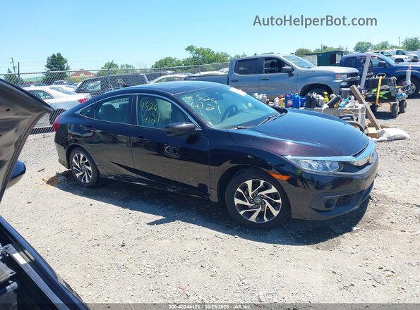 19XFC2F88HE206597 2017 HONDA CIVIC Purple Սալոնի հետևի տեսք