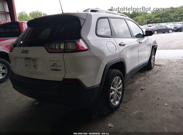 1C4PJLCB3LD521656 2020 JEEP CHEROKEE White Հետևի աջ