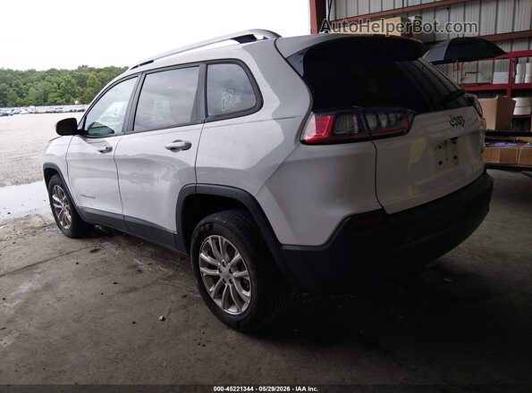 1C4PJLCB3LD521656 2020 JEEP CHEROKEE White Հետևի ձախ