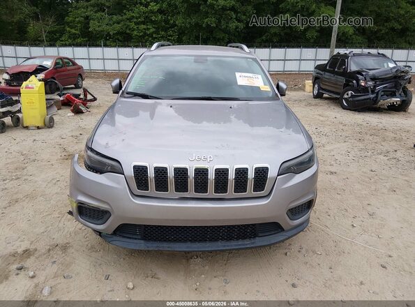 1C4PJLCB4LD645595 2020 JEEP CHEROKEE Серебряный Вид задней части салона