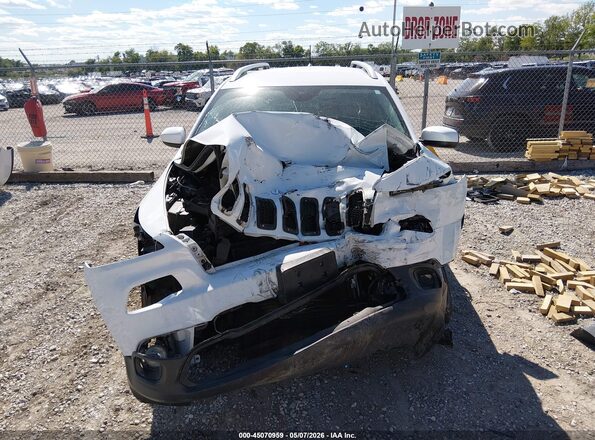 1C4PJLCB5HW549356 2017 JEEP CHEROKEE Белый Вид щитка приборов