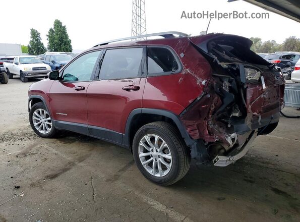 1C4PJLCB7LD536371 2020 JEEP CHEROKEE Red Tył lewy