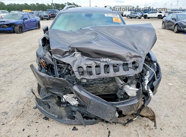 1C4PJLLB1KD173726 2019 JEEP CHEROKEE Серый Вид спереди
