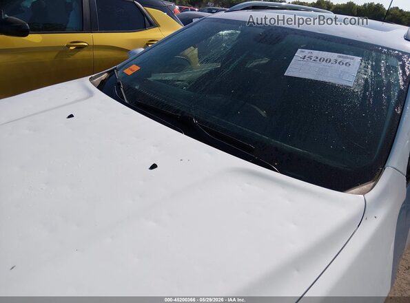 1C4PJLLX7KD262423 2019 JEEP CHEROKEE Белый Вид спереди