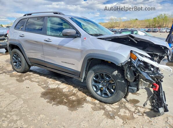 1C4PJMBX0LD571918 2020 JEEP CHEROKEE Silver 