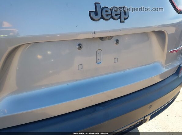 1C4PJMBX6LD500948 2020 JEEP CHEROKEE Silver Դիմացի տեսք