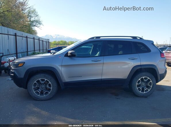 1C4PJMBX6LD500948 2020 JEEP CHEROKEE Silver 