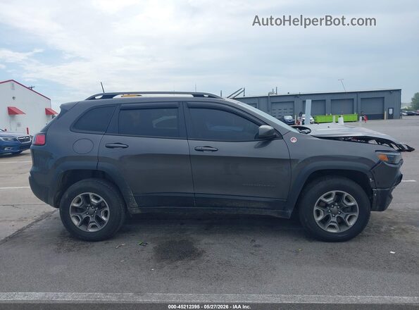 1C4PJMBX7KD224892 2019 JEEP CHEROKEE Gray Սալոնի հետևի տեսք