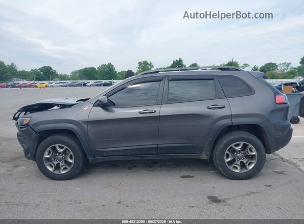 1C4PJMBX7KD224892 2019 JEEP CHEROKEE Gray Սալոնի 360 աստիճան տեսք