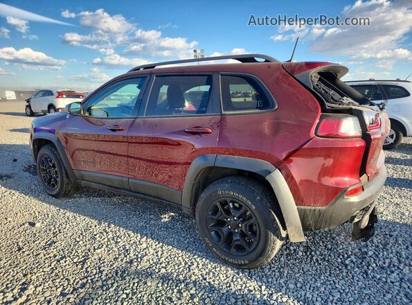 1C4PJMBX7MD253201 2021 JEEP CHEROKEE Red 