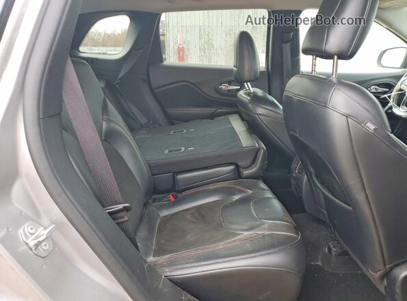 1C4PJMBXXLD529028 2020 JEEP CHEROKEE Серебряный Вид задней части салона