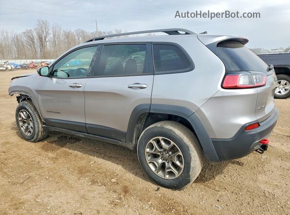 1C4PJMBXXLD529028 2020 JEEP CHEROKEE Серебряный Задняя левая четверть