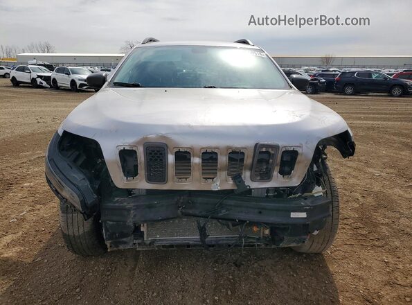 1C4PJMBXXLD529028 2020 JEEP CHEROKEE Серебряный Вид спереди