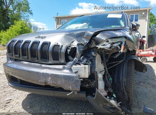 1C4PJMCB3GW148652 2016 JEEP CHEROKEE Серый 