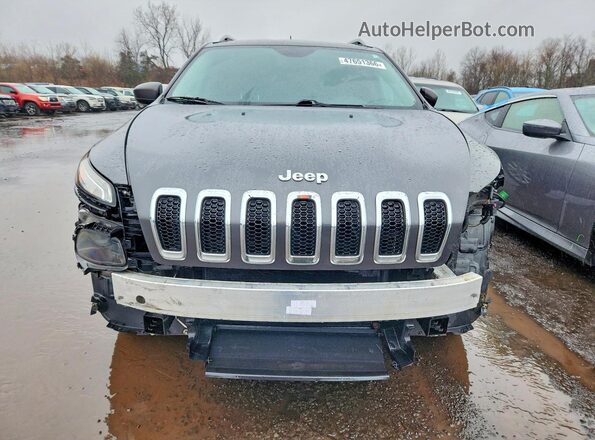 1C4PJMCB9GW345552 2016 JEEP CHEROKEE Серый Вид спереди