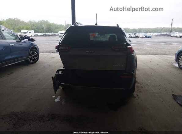 1C4PJMDB2GW335816 2016 JEEP CHEROKEE Tan 