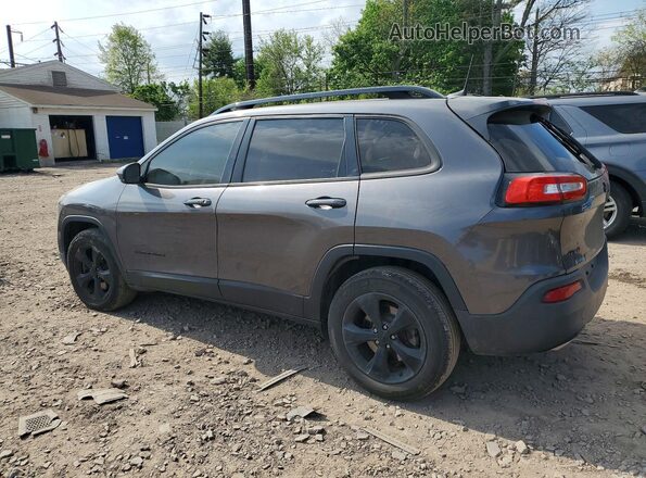 1C4PJMDS8HW501547 2017 JEEP CHEROKEE Gray Tył lewy