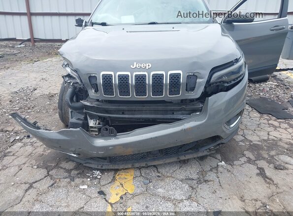 1C4PJMDX3MD167171 2021 JEEP CHEROKEE Gray Դիմացի տեսք