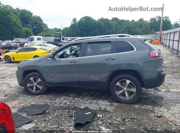1C4PJMDX3MD167171 2021 JEEP CHEROKEE Gray Սալոնի հետևի տեսք